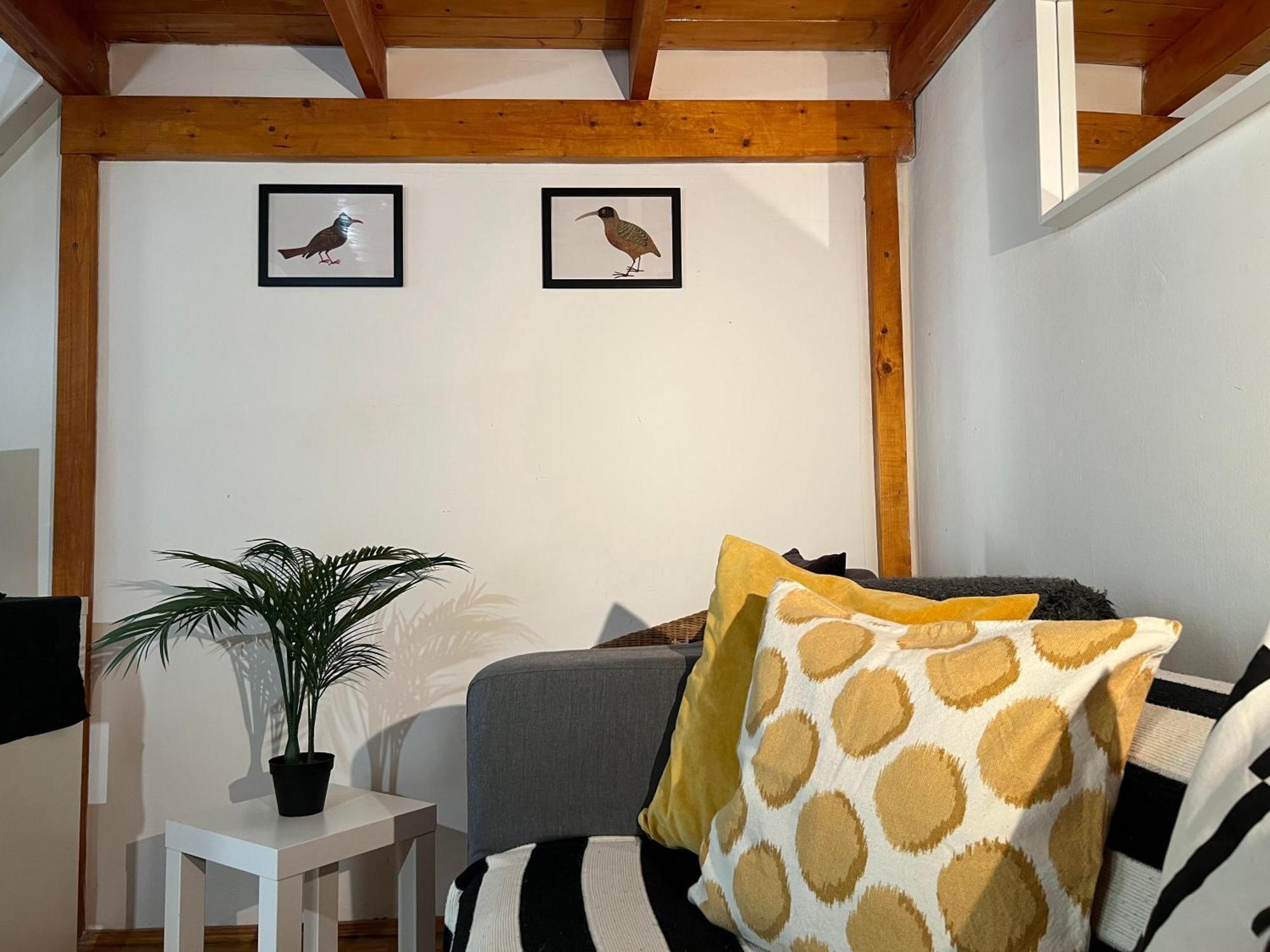 Lovely Little Loft Studio In The Heart Of 布达佩斯 外观 照片